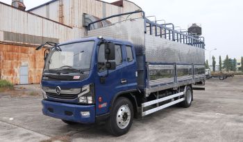 Chào Xuân Cập Nhật Bảng giá xe tải Đồng Vàng 800 - Mới nhất 2026